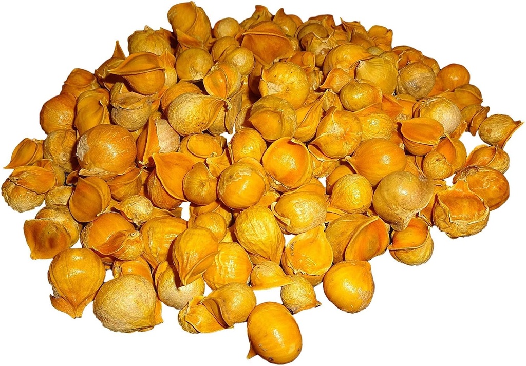 Japonlar //AJO Japonlar (% 100 Natural!) Farklı Kilolar: (1 Lb, 5 Lbs ve 10 Lbs) (5 Lbs)