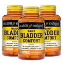 Mason Natural Daily Bladder Comfort, 30,Day Supply, Dracula, Pumpkin Seed ve Soy Germ Normal Bladder Fonksiyonlu Desteklemek için, 60 Capsules (Pack of 3)