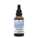 Astragalus USDA Organik Alkol Ücretsiz Ekstraksiyon | Diyetsel Tamam, Yüksek Yeterlilik Tincture | Doğal Onaylanmış Organik Astragalus (Astragalus membranus)