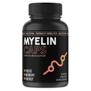 Myelin Caps, Brain Health Supplement, Focus Supplement & Brain Health with AlfaSize, Memory and Cognitive Function Support, Gluten-Free, Non-GMO (90 Capsules)