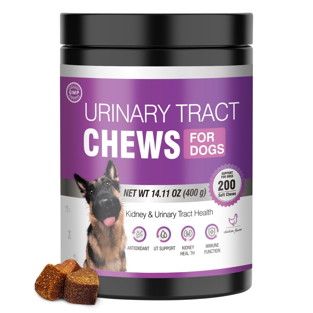 Dog UTI Treatment Cranberry Supplement for Dogs 200 Chews Urinary Tract Medicine Bladder Control Pills Kidney Support Cranberrys Extract Bites Puppy UTI Enfeksiyonları Köpekler Için Yeniden Yapılıyor