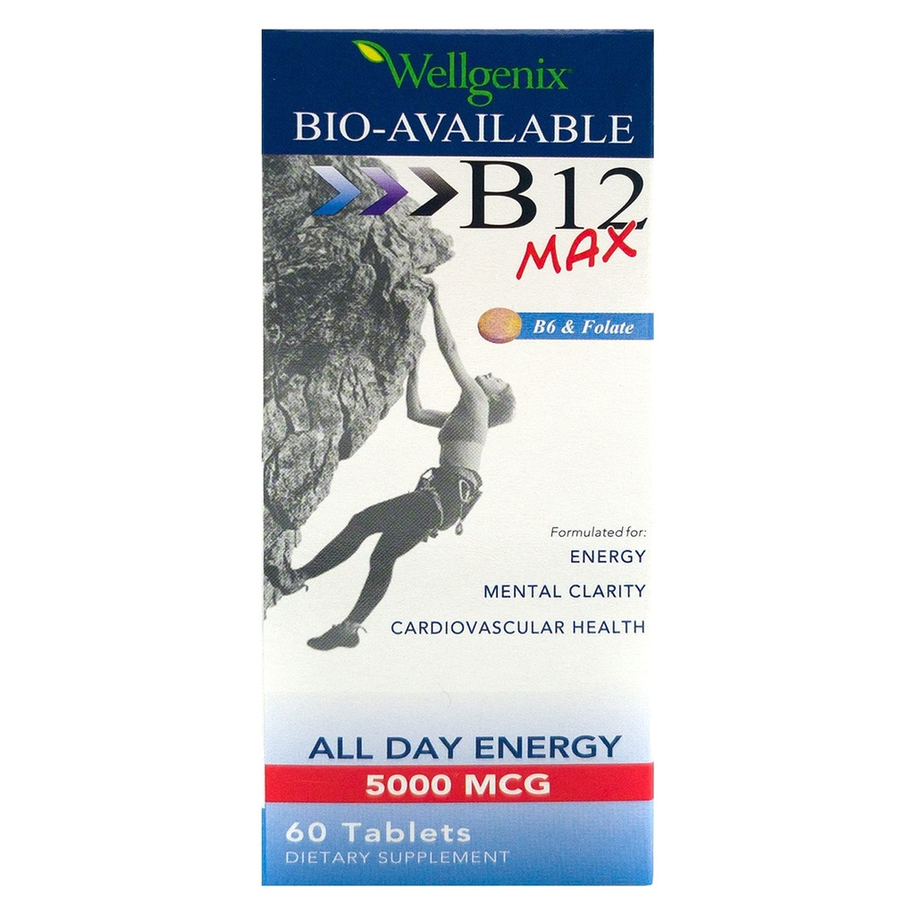 Wellgenix Bio-Available Sublingual B12 B6 Folate Vitamin Yüksek Absorpsiyon için formüle edildi - Beslenme Çokvitamin Tamam (60 ct) 1 Pack