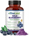GüzelLand Wild Blueberry 10:1 Ekstraksiyon, 6.000 mg Güçlü, 120 Vegan Capsules, Flavonoids & Anthocyanins, Antioxy Support for Brain & Heart Health, 4-Month Supply, Non-GMO Made in USA
