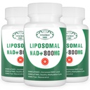 NAD+ Supplement Liposomal NAD+ Plus 800MG Nicotinamid Riboside Alternatif Hücre Enerjisi, Sağlıklı Ağlama ve Kas Onarım 180 Capsules (Pazar 3)