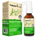 NaturaNectar - Green Propolis Throat Spray - Benzersiz, Soothing Throat Care Relief with Brazil Bee Propolis - Natural and Non-Alcoholic Throat Care Formula from Sustainable Beeguard (1-Pack, 30mL)