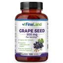 FineLand Grape Tohumu 50:1 – 25 mg Capsule başına Eşdeğer - 120 Vegan Capsules - Antioksitlarda Zengin | Kalp, Immune & Circulation Support – Non-GMO | Made in USA