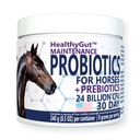 Horses Diyetary Supplement için sağlıklıGutTM Probiyotikler, All-Dogestive System Bakım Formula (30 Gün)
