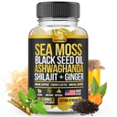 Sea Moss, Black Seed Oil, Ashwagandha, Ginger, Shilajit Gummies with Elderberry, Chlorophyll, Turmeric Bladderwrack Sea Moss Gummies Advanced Strength Formula - All in 1 Sche - USA Made (60 Gummies)