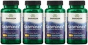 Swanson en Güçlü Graminex Flower Pollen Extract - Supports Prostate Health, Urinary Tract Function ve Kidney Health - Mens Health Supplement - (60 Capsules, 500 mg each) (4 Pack)