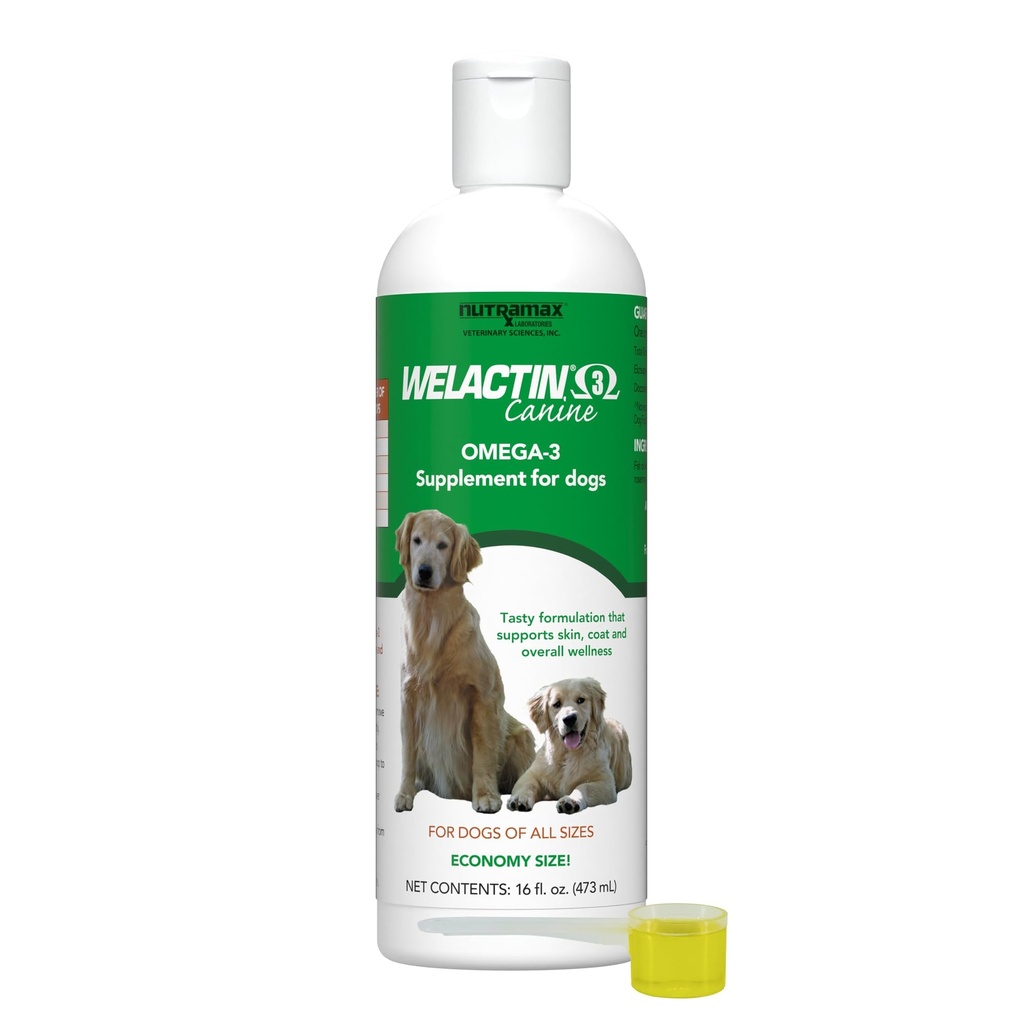 Nutramax Welactin Omega 3 Fish Oil for Dogs, Skin and Coat Health Supplement, Plus Ortak, Immune, Kidney ve Brain Support, Premium Omega 3 Fatty Acids, For Dogs of all Dimensions, 16 Ounce Liquid (3 Pk)