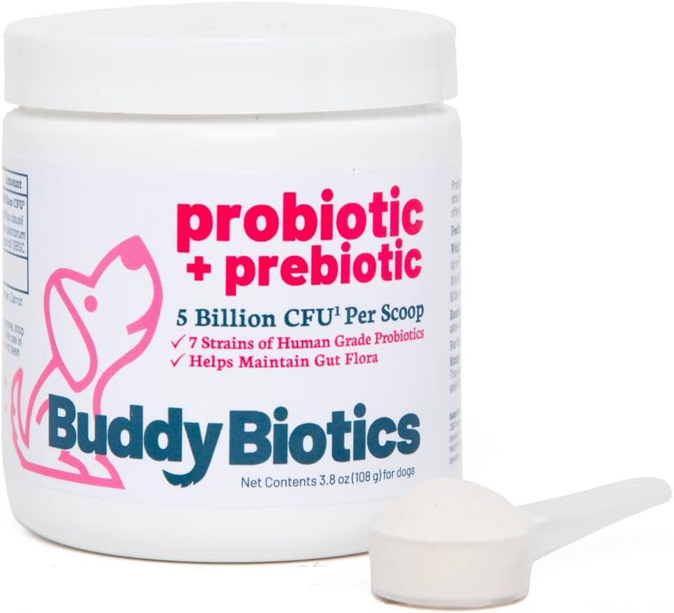 Buddy Biotics Probiyotik + Prebiyotik for Dogs- Gut Flora Health, Digestive and Immune Health, Diarrhea and Bowel Support - 5 Milyar CFU per Scoopop