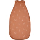 Ecolino Organik Pamuk Bebek Uyku Sack - 2 Yıldızlı Bebek Giyilebilir Blanket - Bebek to Toddler Uyku Bag Sack - 2 Ay - 2 Yıl - Çöl - Çöl - 2 Yıl - Çöl