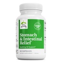 Terry Natural Stomach & Intestinal Relief - For Aid Digestive Health & Intestinal Lining - Occasional Digestive Discomfort to Soothe Stomach - 60 Capsules