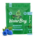 Waterboy Workout Hydration | 2,960mg Sugar Free Electrolyte Toz Paketleri | L-Glutamine + Vitaminler | No Sugar, All Natural, Gluten Free | 15 Irma Mixes (Mavi Raspberry)
