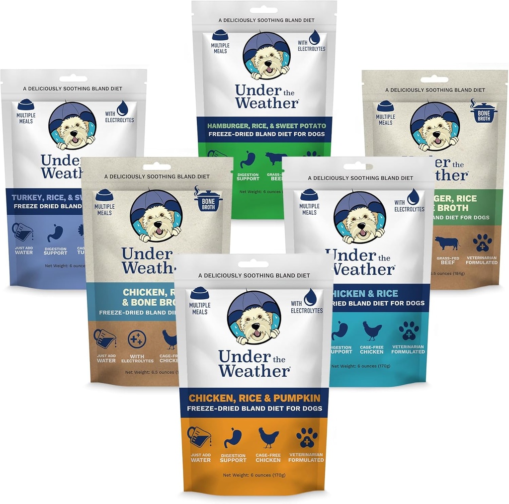Köpekler için Hava Bland Diyeti | Hasta Köpekleri için Kolay | Her Zaman Hazır olun | Contains Electrolytes - Tüm Doğal Freeze kuru 100% İnsan Grade Meats | 6 Pack - Multiflavor - 6oz