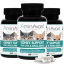 AminAvast Kidney, Cats ve Small Dogs için Supplement, 300 mg 3-Pack - Doğal Kidney Fonksiyonlar - Aging Kidneys'deki Yardımcılığı - kolayca Administered - 60 Sprinkle Capsules