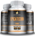 EPICATECHIN - Serviste 500MG - 60 Hizmet ve 1000MGS - 30 Hizmet - Max Strength - Myostatin'i azaltabilir - Lean Muscle And Strength'u artırabilir - Protein Synthesis'te yardımcı olun