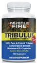 Herbal Beslenme Tribulus Terrestris, Bulgar, 1500 mg 45% Saponins, Lecithin for Better Update, 180 Capsules, One Şişe...