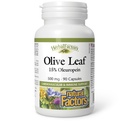 Doğal Faktörler, Zeytin Leaf 500 mg, Natural Wellness Formula, 90 Capsules