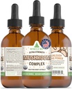 RawGuru Organik Mushroom Kompleksi - İz Mineralleri ile Organik Mushroom Ekstraksiyon - Nano-Processed Cognitive & Immune Support Supplement - 60 ml başına Vegan Drops'un 60 ml'si, Pack of 1