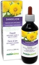 Naturalma Dandelion (Taraxacum officinale) Root and herb Alkol-Free Tincture - 6.76 fl oz Sıvı Ekstraksiyon - Herbal Supplement - Vegan