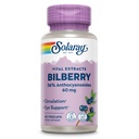 SOLARAY Bilberry Berry 60 mg | Güçlü Antioksi | Sağlıklı Vizyon & Circulation Support | 60 VegCaps