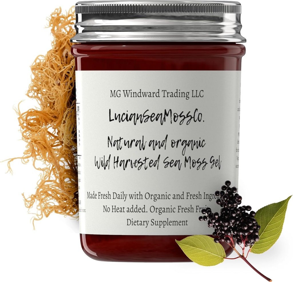 Dr. Sebi Inspired alkaline Organic Fresh Elder Ginger Sea Moss Gel - Doğal Temel Vitaminler, Mineraller Plus Antioksis Wild Harvested from Saint Lucia (8 oz.)