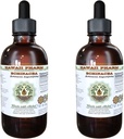 Echinacea Alkol Özgür Sıvı Ekstraksiyon, Echinacea (Echinacea Angustolia) kuru Kök Glycerite Hawaii Pharm Natural Herbal Supplement 2x4 oz