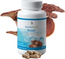 Mushroom Science Reishi Mushroom Capsules, Super Strength Full Spectrum Extract, Natural Mushroom Supplement for Yetişkinler, Hot Water Extracted Mushrooms, Health Support, Vegetarian, 400MG, 90 CT