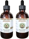 Amerikan Patenti Alkol Özgür Ölçeği, BTC (Panax Quinquefolius) Kuru Kök Glycerite Hawaii Pharm Natural Herbal Supplement 2x4 ozz