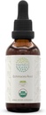 HerbEra Echinacea Root B60 USDA Organik Tincture | Alkol-Free Extract, High-Potency Herbal Drops, Immune System Health | Sertifikalı Organik Echinacea Root (Echinacea Purpurea)