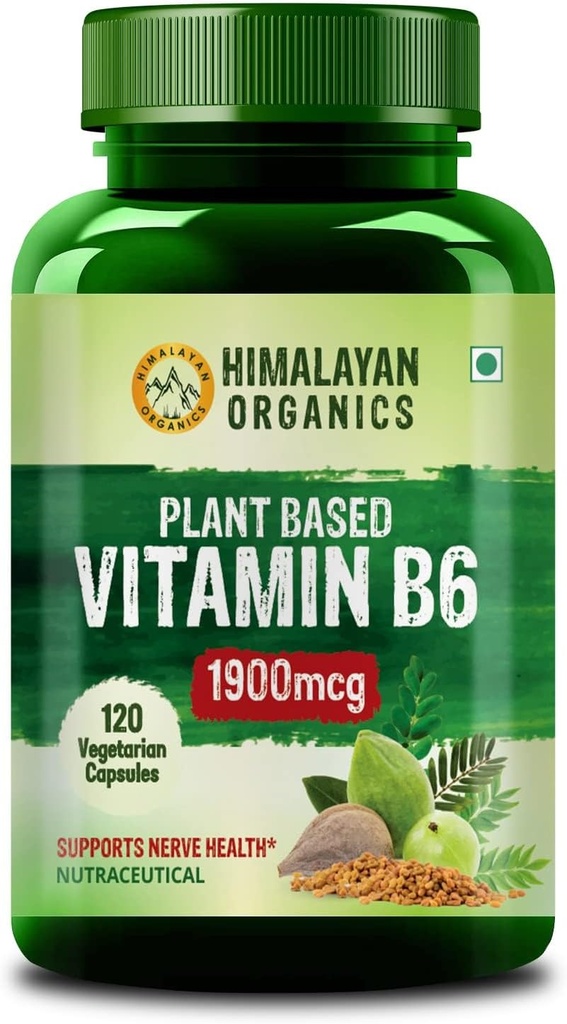 Plant-Based Vitamin B6 | Destekler Immunity, Brain Health (120 Capsules)