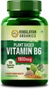 Plant-Based Vitamin B6 | Destekler Immunity, Brain Health (120 Capsules)