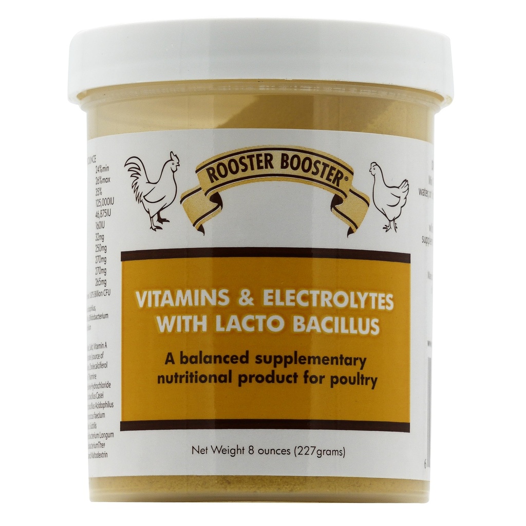 Rooster ATM Vitaminler ve Lactobacillus, Natural, 8 oz ile elektrolitler.