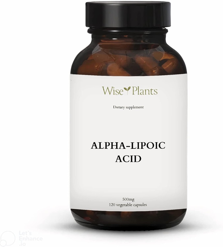 Alpha-Lipoic Asit - Non-GMO - 500 mg, 120 Hizmet (4 Ay Supply), Enerji Seviyeleri, Mitochondria Destek