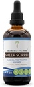 Koyun Sorrel Tincture Alkol Ücretsiz Ekstraksiyon, Koyun Sorrel (Rumex Acetosella) Herb Tincture Supplement 4 oz
