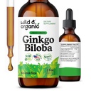 Vahşi & Organik Ginkgo Biloba Tincture - Ginkgo Leaf Supplement ile Beyin ve Oda Destek - Vegan, Sugar & Alkol-Free Herbal Extract Tincture - 2 fl ozz