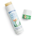 Bug Bite Itch Relief Stick, Natural & Organic Anti Itch Cream for Bug Bites, Rashes & Zehir Ivy, Hızlı Itchy Skin Relief After Bite, Works Great, Kokus Great, Easy to Use, .6 oz
