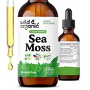 Wild & Organic Sea Moss Liquid Drops - Immune Support - İrlandalı Deniz Moss ve Bladderwrack Tincture - Multimineral Chondrus Crispus Tamam - Vegan, Sugar & Alkol Free - 2 fl ozzz