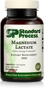Standart Süreç Bone and Muscle Support Sche - Lactate & Steel Lactate Supplement Kit - Diyetsel Supplements Aid Bone Strength & Influence - Supports Energy Production & Immune Health Health Production & Immune Health