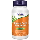 Şimdi Tamamlar, Chaste Berry Vitex Extract 300 mg with Dong Quai, Women's Health*, 90 Veg Capsules