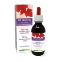 Naturalma Red Grapevine (Vitis vinifera) Leaf Alkol Özgür Tincture - 4 fl oz Sıvı Ekstraksiyon - Herbal Supplement - Vegan