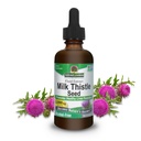 Doğanın Cevap Süt Butle 2 Ounce Ekstraksiyon - Alkol Ücretsiz, GMO, Liver Support Supplement for everyone - Liver Detox, Made in USA