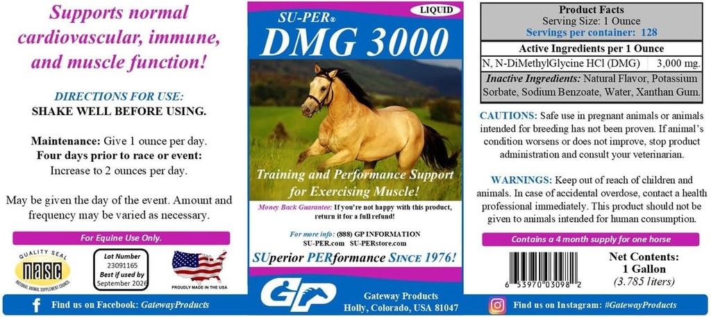SU-PER DMG 3000 Horse Supplement - Training & Performance Support Liquid - Supports Normal Cardiovascular Immune & Muscle Function - 1 Gallon, 4 Month Supply
