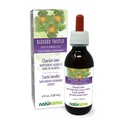 Doğalma Butle veya Kutsal Butle (Cnicus benedictus) onu Çiçekler Alkol Özgür Tincture ile - 4 fl oz Sıvı Ekstraksiyon - Herbal Supplement - Vegan