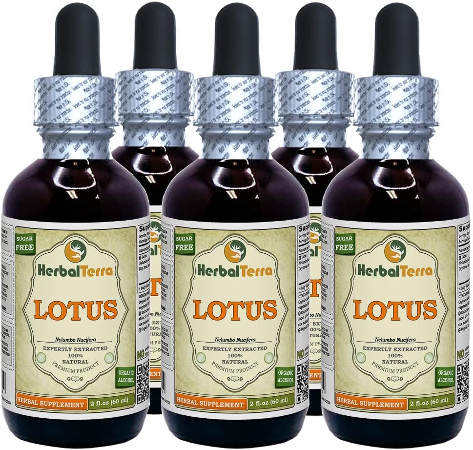 Lotus, Xi Xin (Nelumbo Nucifera) Kuru Stem Sıvı Ekstraksiyon (Brand Name: HerbalTerra, Proudly Made in USA) 5x2 oz
