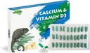 D3 eklenmiş Vitamin D3, Ayıded Dragons, Kaplumbağalar ve Daha Fazlası