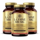 Solgar L-Lysine 500 mg - 100 Sebze Kapsülleri, 3 Paket - Skin & Tound Support - Non-GMO, Vegan, Kosher, Gluten Free - 300 Toplam Hizmetler
