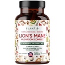 Plant.O Premium Lion's Mane Supplement, All Natural Nootropics Brain Supplement, 5 Mushroom Kompleksi - Lion's Mane, Reishi, Chaga, Maitake, Shiitake for Immunity, Focus, Mood & Memory Boost, 90 Caps