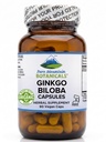 Ginkgo Biloba Capsules – Kosher Vegan Caps with 400 mg Ginkgo Biloba Leaf and Ginko Extract Supplement Supplement Supplement Supplement